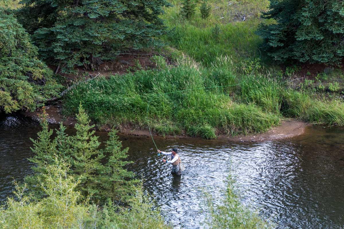 Colorado River Fly-Fishing near Granby