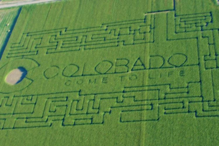 An aerial view of a corn maze that spells "Colorado: Come to Life" in its maze route