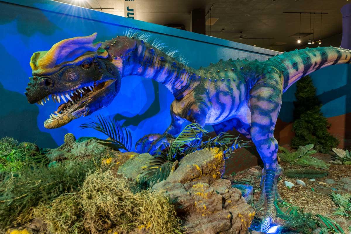 Dinosaur Journey Museum in Fruita