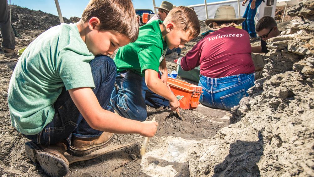 Two children in green shirts participate in an excavation in a rocky area at Dinosaur Journey. In the distance is a person wearing a red shirt that says "Volunteer" across the back.