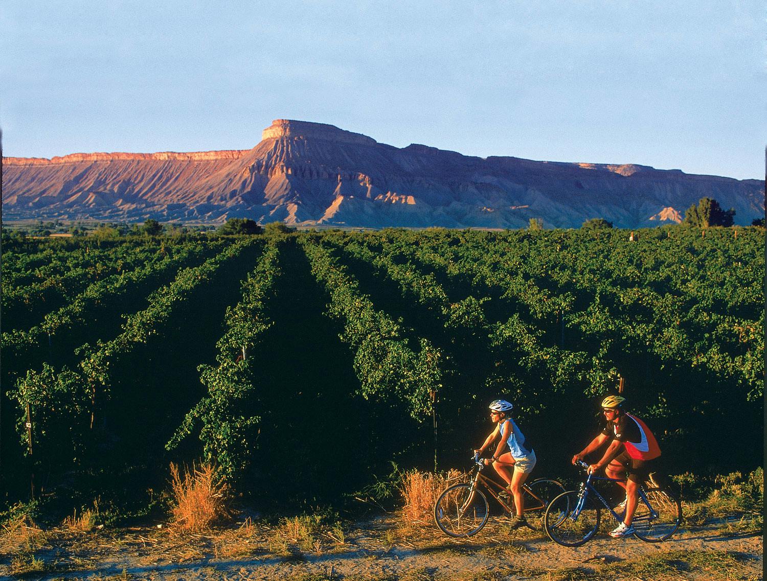 A couple bikes past a winery with mountains in the background