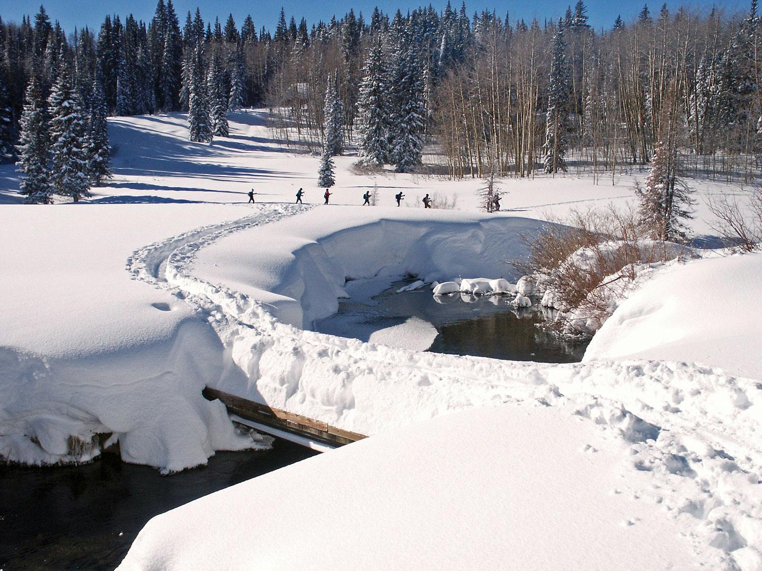 6 people cross-country ski through a snow-covered winter wonderland next to a river. There are evergreen trees dusted with snow.