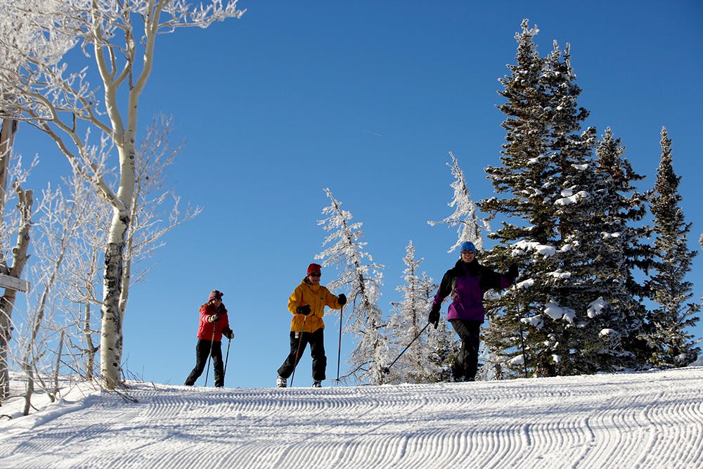 Three cross-country skiers make their way diagonally across a fresh corduroy area. There is an aspen tree covered in frost on the left and evergreen trees dusted in snow are in front of the backdrop of a bright-blue sky.