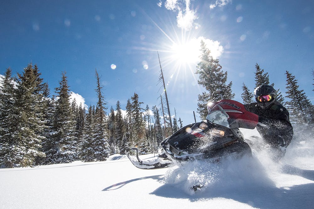 A snowmobiler kicks up snow on a blue-bird day with the bright sun in the middle of the sky. There are evergreen trees dusted with snow in the background.