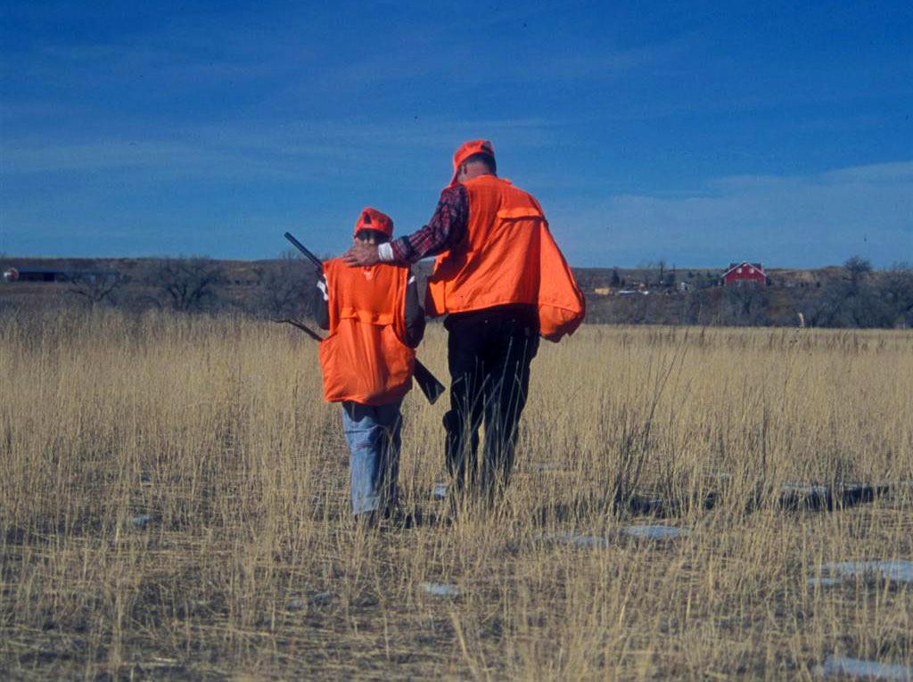 A man and his son, both waring hunters-orange vests and hats, walk away from the camera through a field. They carry rifles at an angle