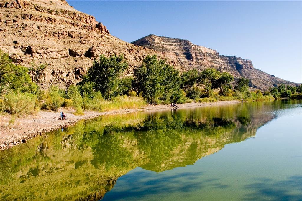 On a summer's day, the glassy Colorado River reflects the golden cliffs of mesas on the left. There are green trees on the river bank.