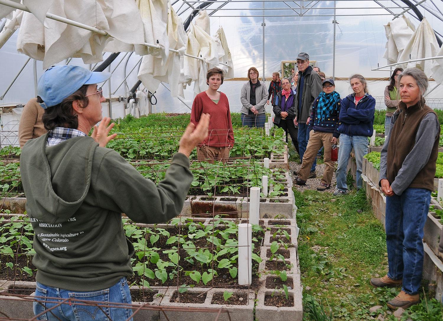 A woman speaks to a tour group inside a green house where there are rows of green plants flowering