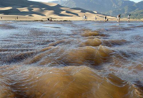 The seasonal Medano Creek winds along the tall dunes of the Great Sand Dunes National Park and Preserve in Colorado.