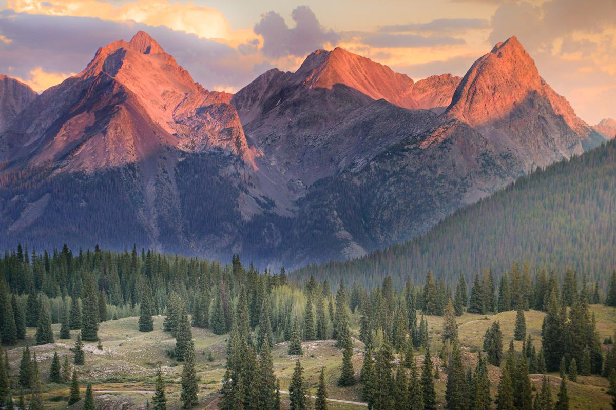 Mountain peaks are tinged in a pink hue with evergreen trees below them.