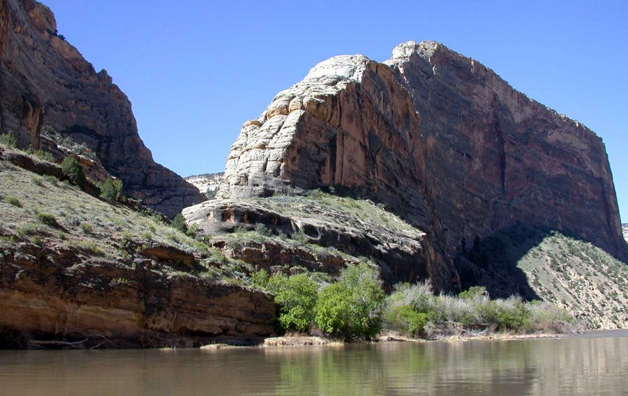 Low shrubs grow thick on the banks of a calm section of the Yampa River in Colorado's Dinosaur National Monument.