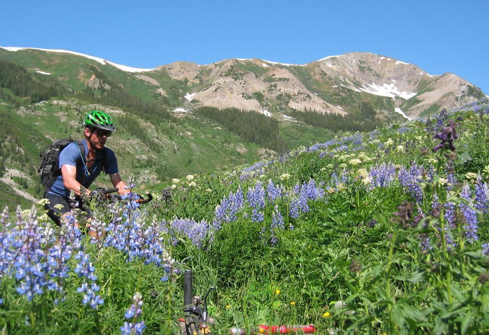 Mountain biking among wildflowers near Crested Butte