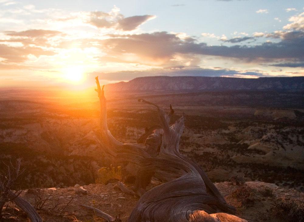 The sun is setting in a cloud-filled sky over the town of dinosaur. The view is from a rocky cliff with a dead tree stump.