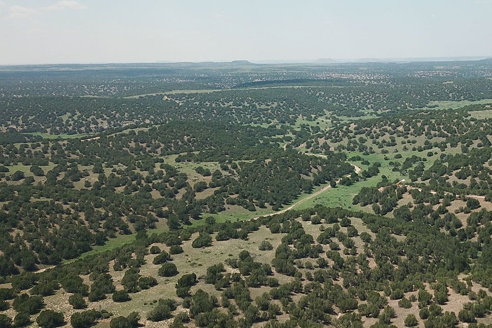 An aerial photograph of the Wild Animal Refuge expansion of the Wild Animal Sanctuary in Springfield, Colorado. For what looks like miles stretching into the distant horizon, there are several green and beige hills dotted with dark green shrubbery, sprinkled with winding thin paths. On the horizon are a few faded looking plateaus.