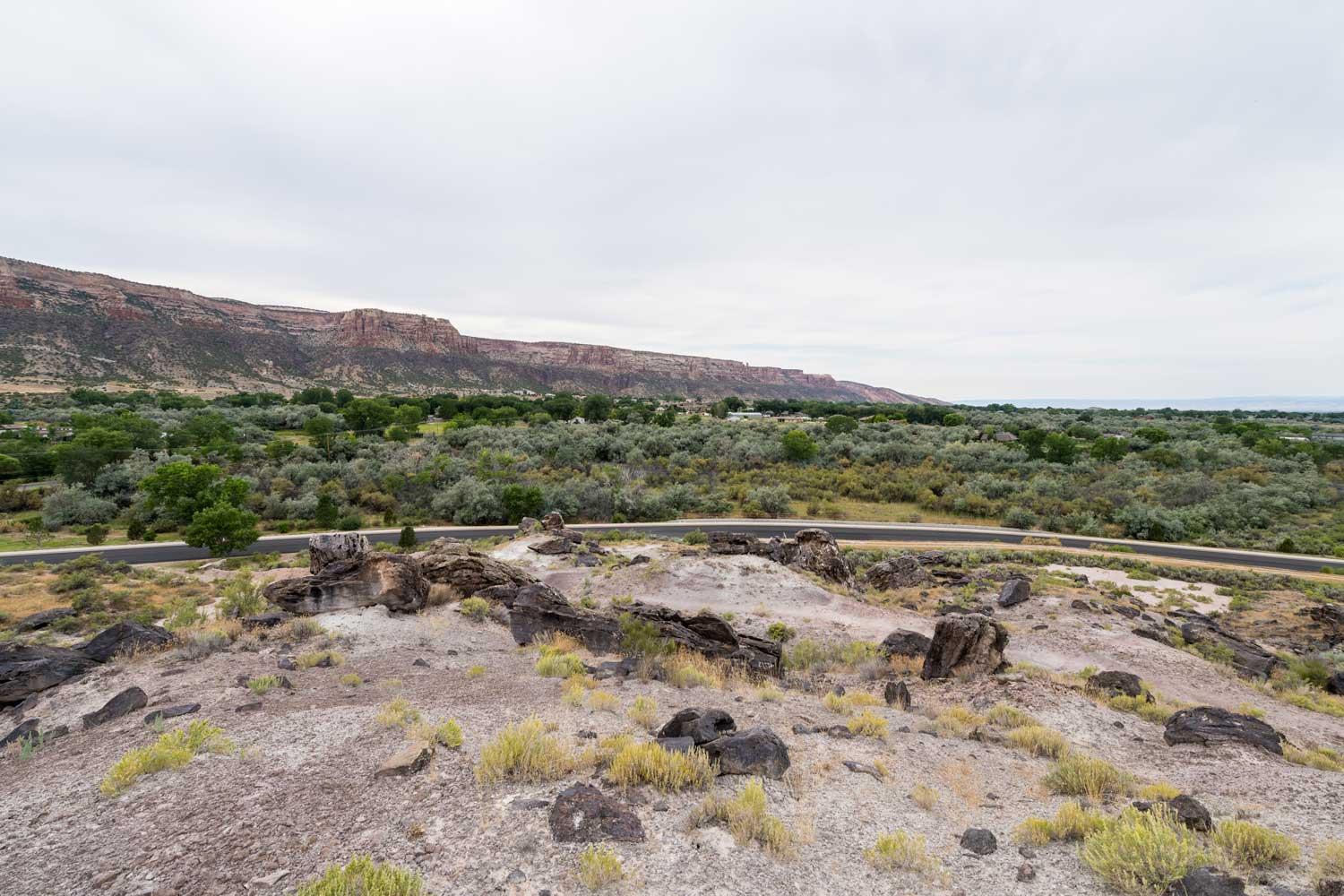 Riggs Hill Trail near Grand Junction