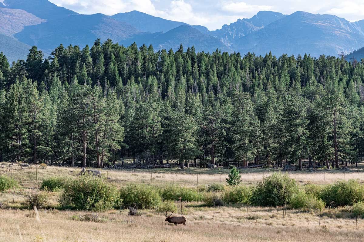 Rocky Mountain National Park