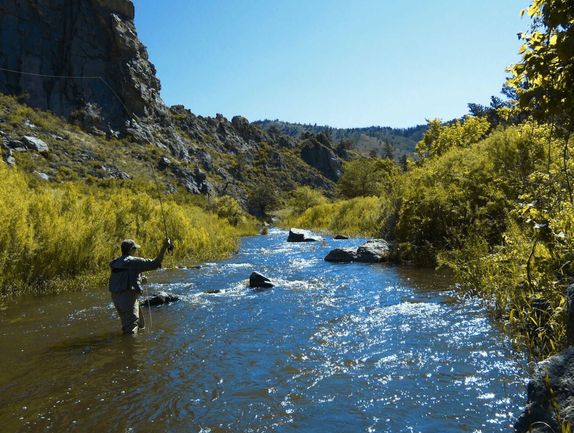 A solo fly fisher stands in the middle of a cascading Poudre River. The riverbanks are covered in green long grasses, scrubby bushes and trees. There are grey rocks and in the distance a hill meets the light-blue sky. 