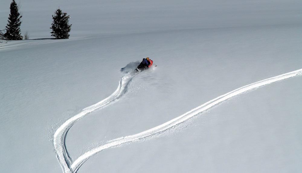 A solo snowmobiler makes their own path in fresh powder with a lone evergreen tree to the left.