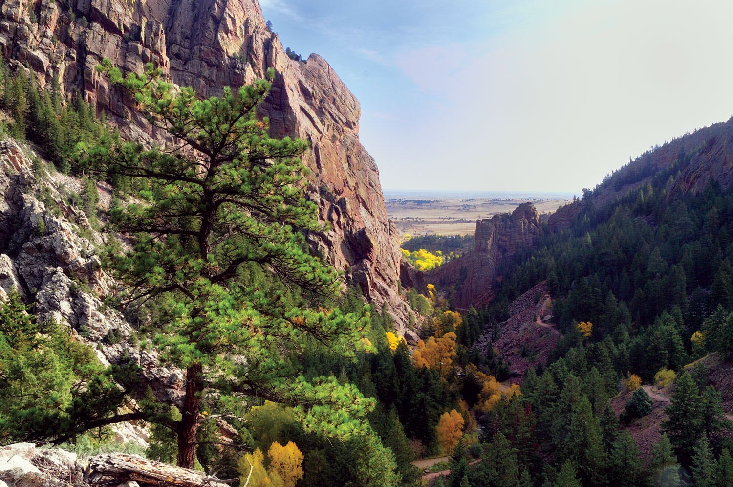 A few between the canon walls toward Colorado's plains. The walls are covered in red rock, and green and yellowing trees