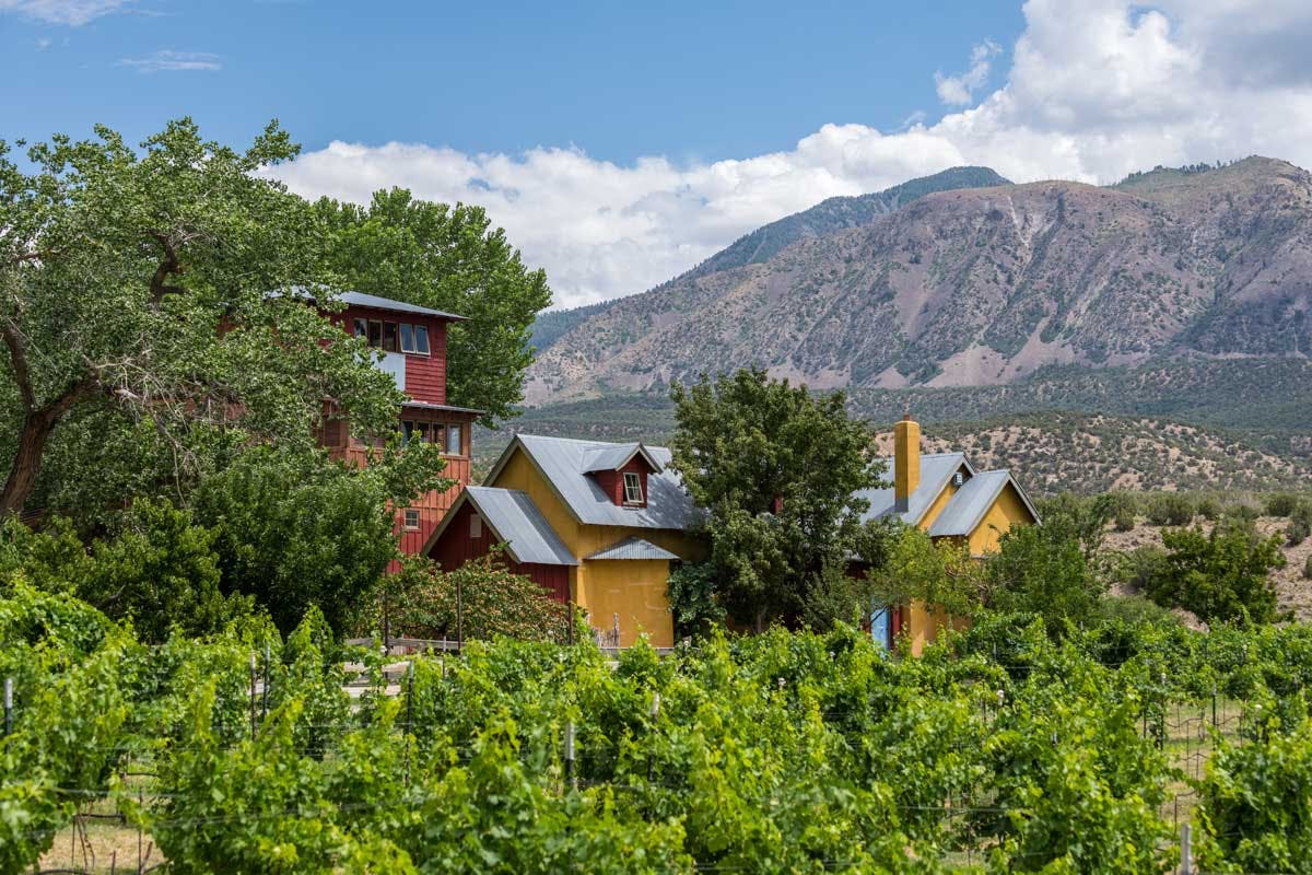 Sutcliffe Vineyards in Cortez