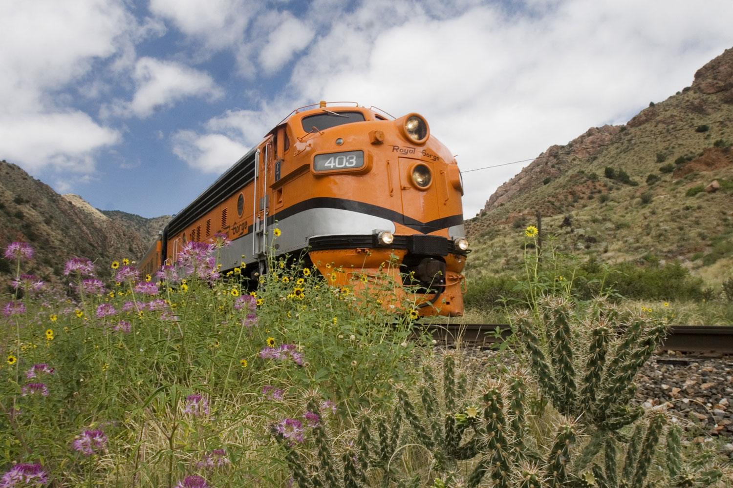 A scenic train is surrounded by wildflowers and mountain views