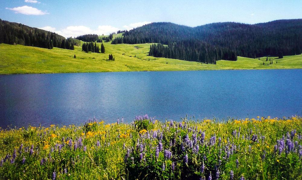 A bright blue lake interrupts a green meadow and evergreen-forested area