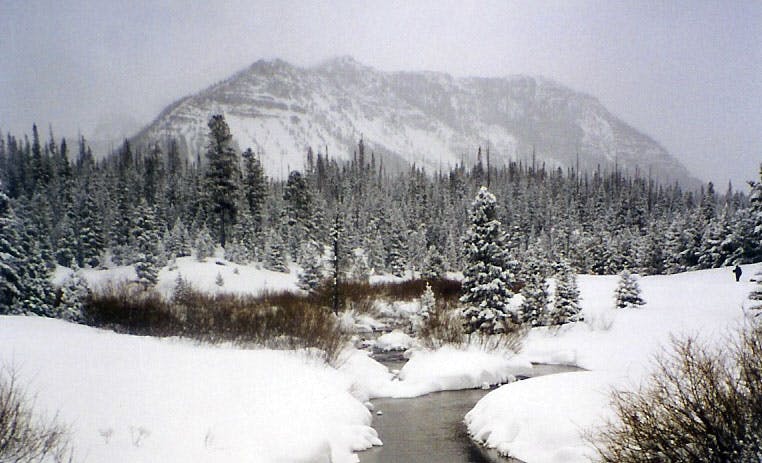 A frozen mountain scene, with a river winding between snoy banks, snowy trees and a snowy mountain peak