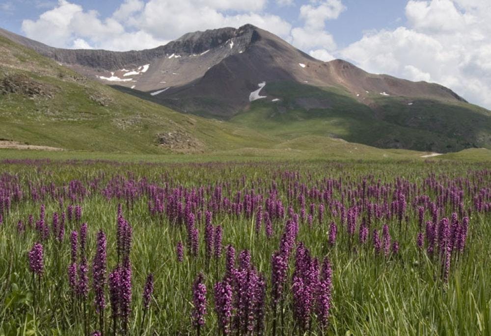 Alpine Loop