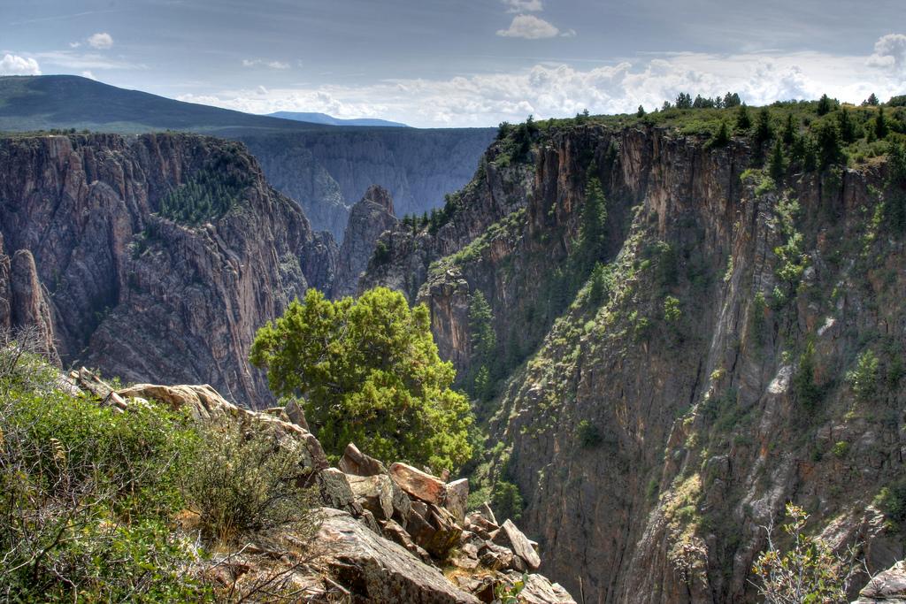 Green trees and shrubs cling to the steep, rocky sides of Black Canyon of the Gunnison National Park near Montrose.