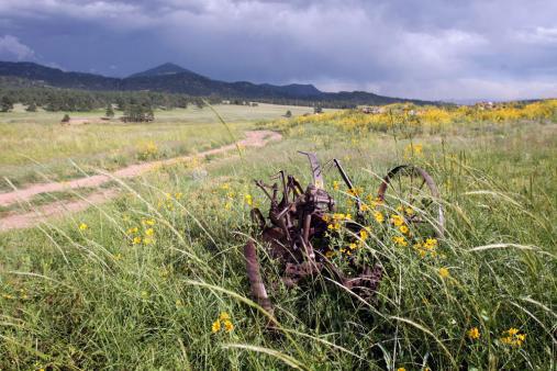 With rainclouds moving in, a grassy meadow has a dirt trail running through it