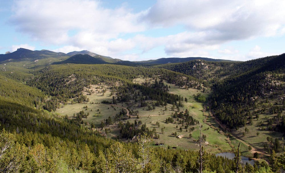 A series of rolling meadows with trees and a tiny lake