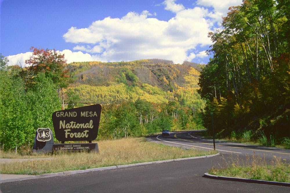 A road winding past the entrance sign for Grand Mesa National Forest