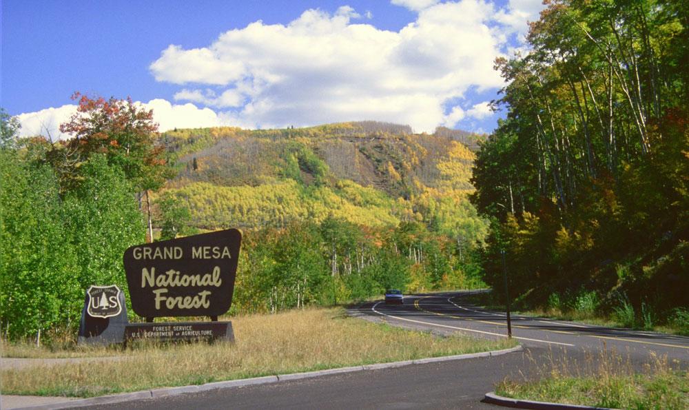 A brown Forest Service Sign reads "Grand Mesa National Forest," surrounded by trees with green and yellow leaves