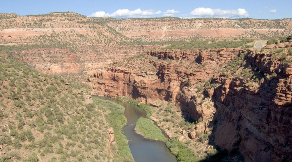 A brown river winds between green river banks between massive, red canyon walls