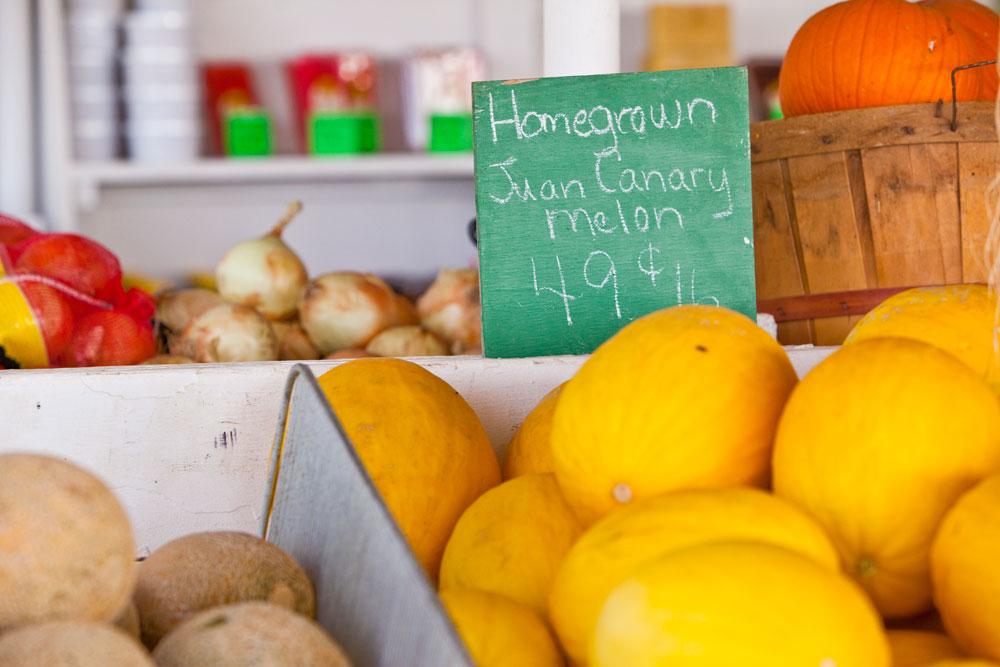 Boxes of bright yellow melons, onions, pumpkins and honeydu line a table. A sigh says "Homegrown Juan Canary melon 49 cents"