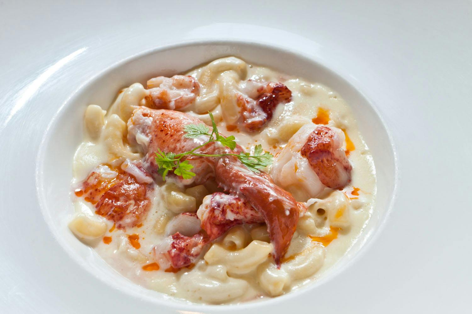 Tender, juicy chunks of lobster meat are mixed with creamy, white pasta in a simple bowl at Mizuna in Denver, Colorado.