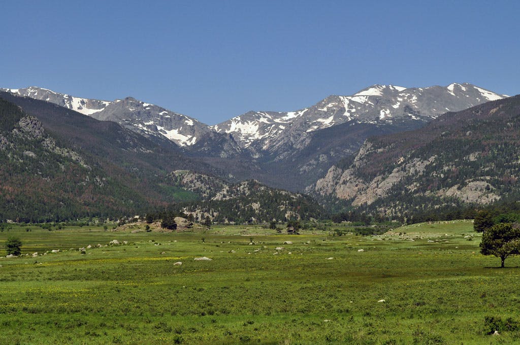 In the foreground is a large field of green field, which leads up to the craggy, tree-speckled, snow-capped mountains of Moraine Park Valley in Rocky Mountain National Park. The sky above is a clear, dusty blue.