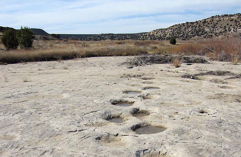 Dinosaur tracks in the rocks at Picketwire Canyonlands. In the background there are brown tall grasses and bush-covered hills.