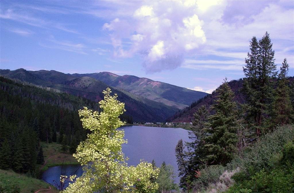 A still, blue lake is surrounded by green hills and leafy aspens.