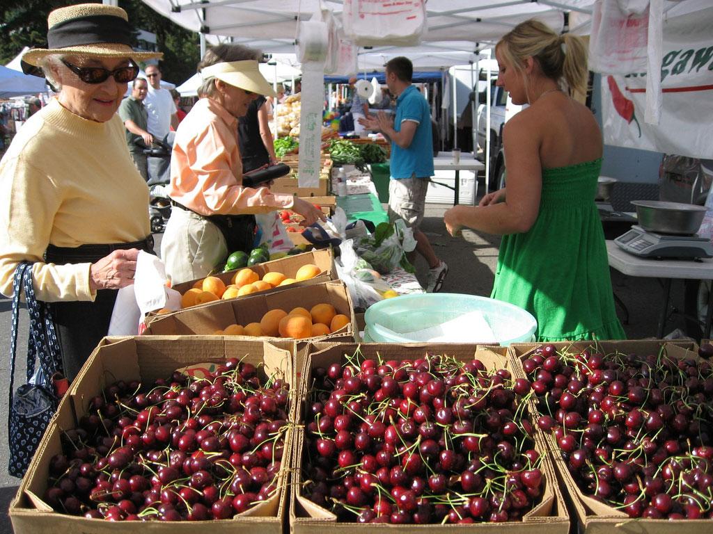 Farmers' market goes look through boxes of cherries and peaches while talking to the people working the farm stands