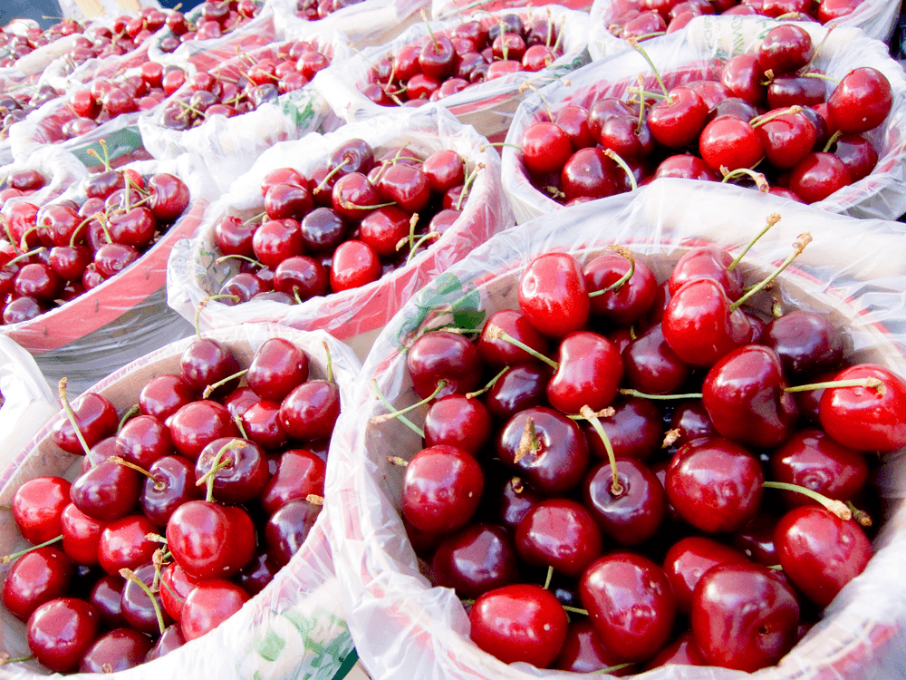 Fresh-picked cherries in Palisade