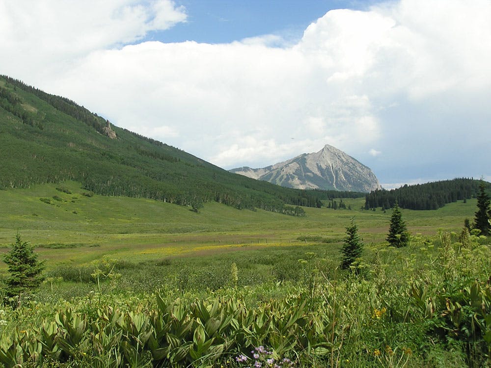 Crested Butte