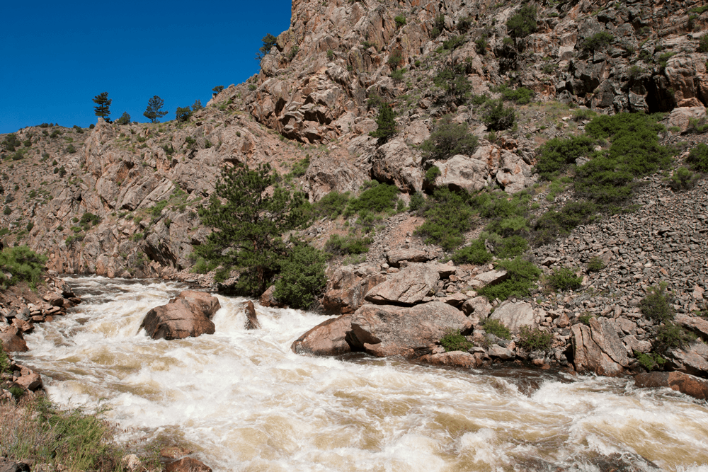 The Wild & Scenic Cache la Poudre