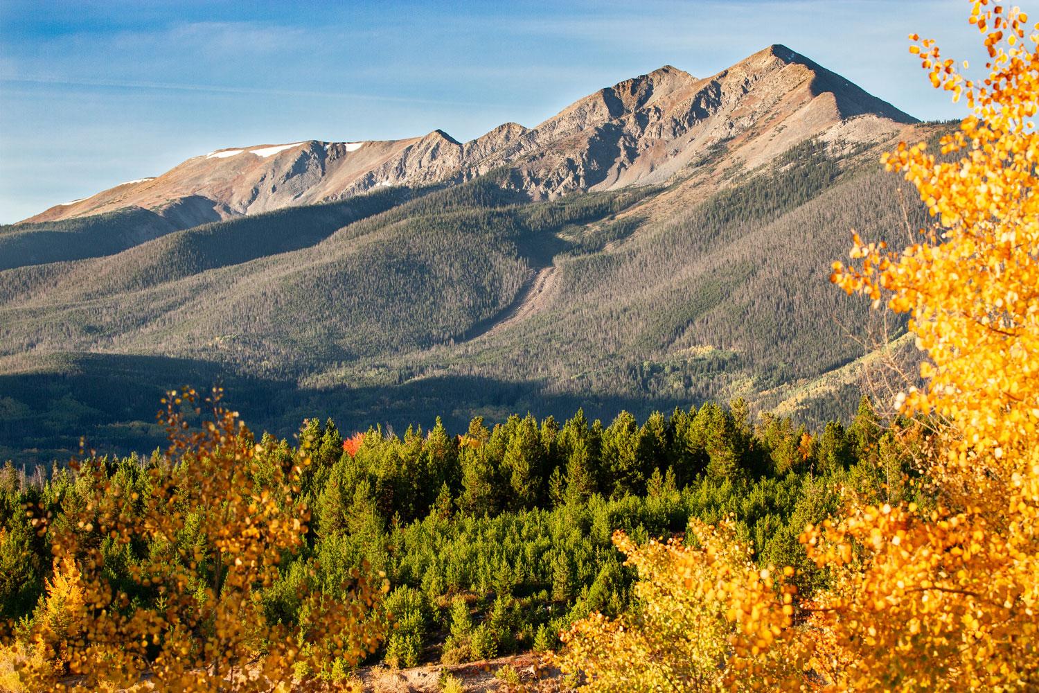 Rocky Mountain peaks sit below a blue sky. Beneath them evergreen trees and in the foreground green bushes and golden autumn leaves decorate the land.