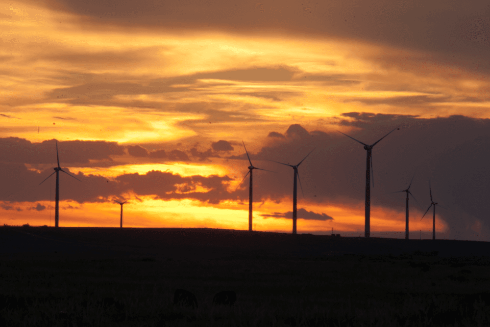 Prairie wind farm at sunset