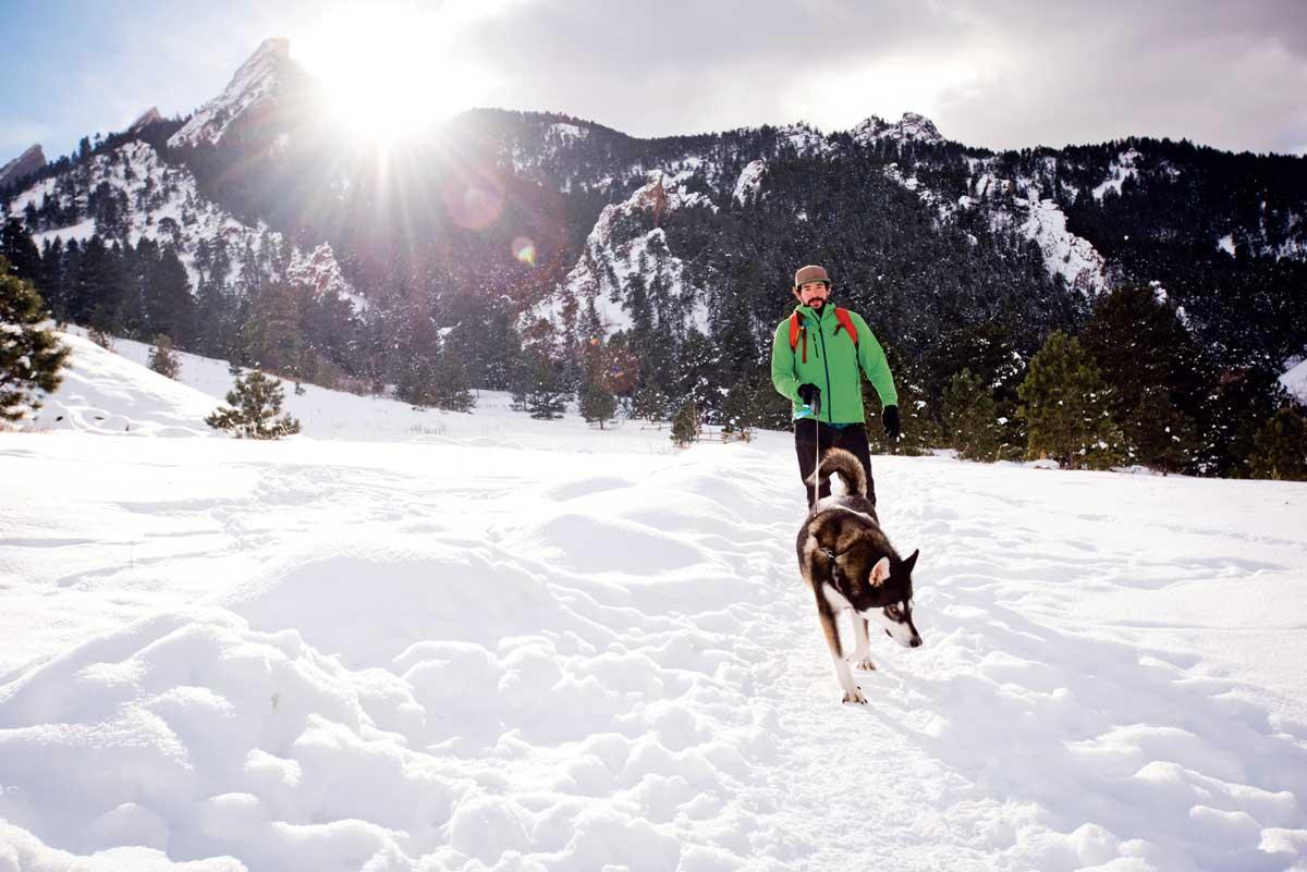 A curious black and white husky scours the ground and leads the way through a snowy Colorado field. A person in a green winter coat holds their leash behind them.