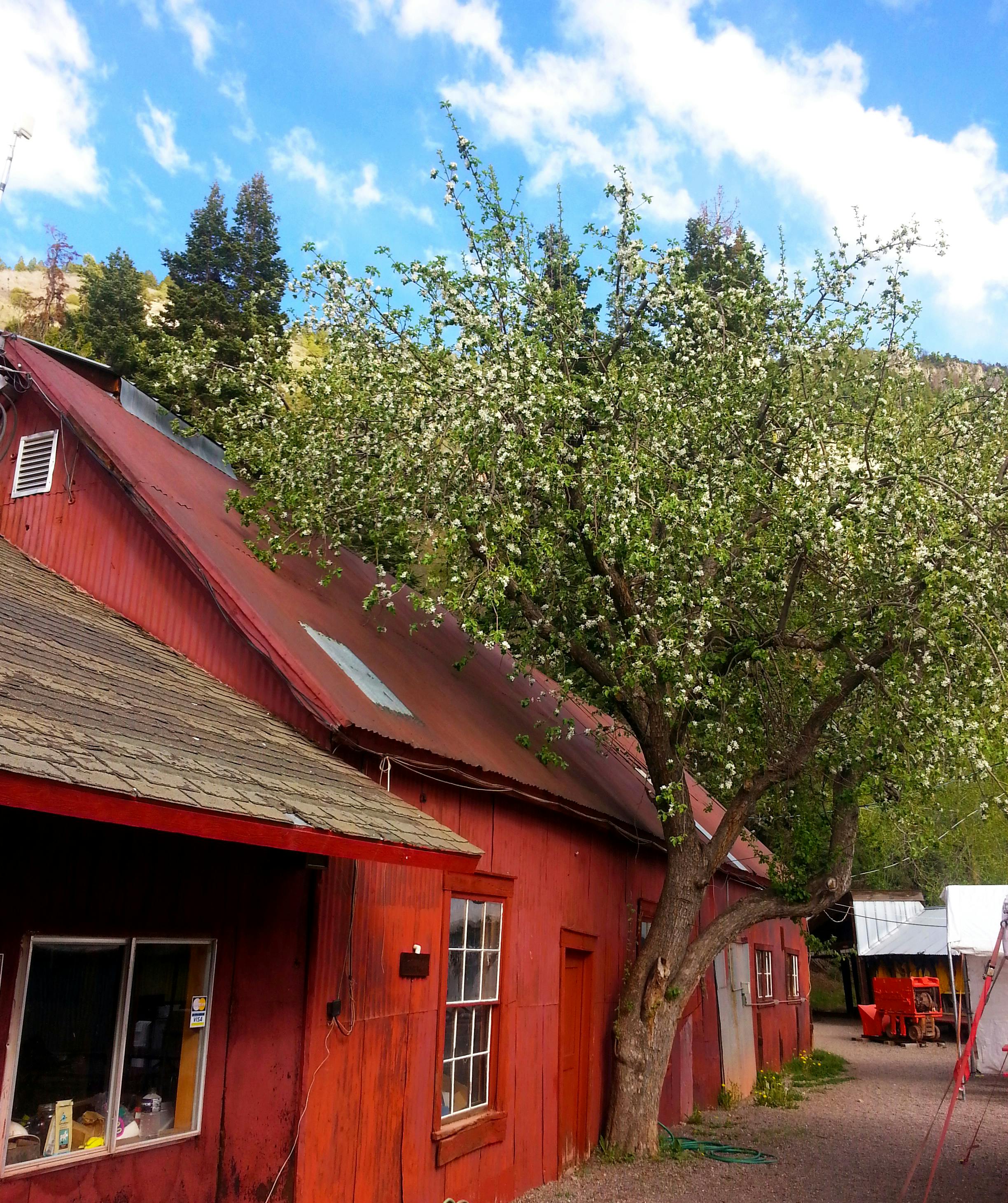 main mine building photo