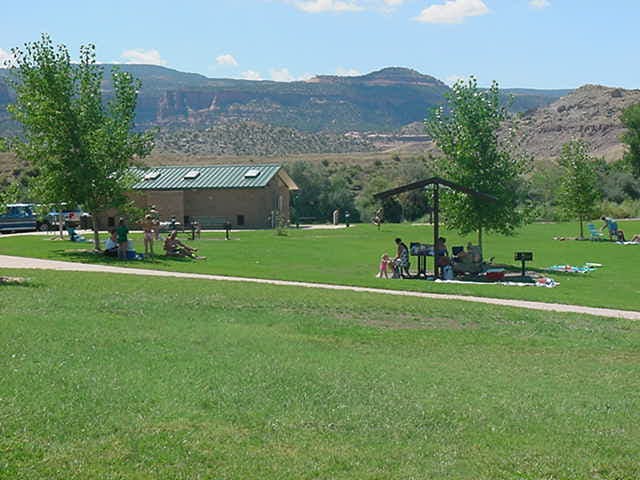 summer in fruita section photo