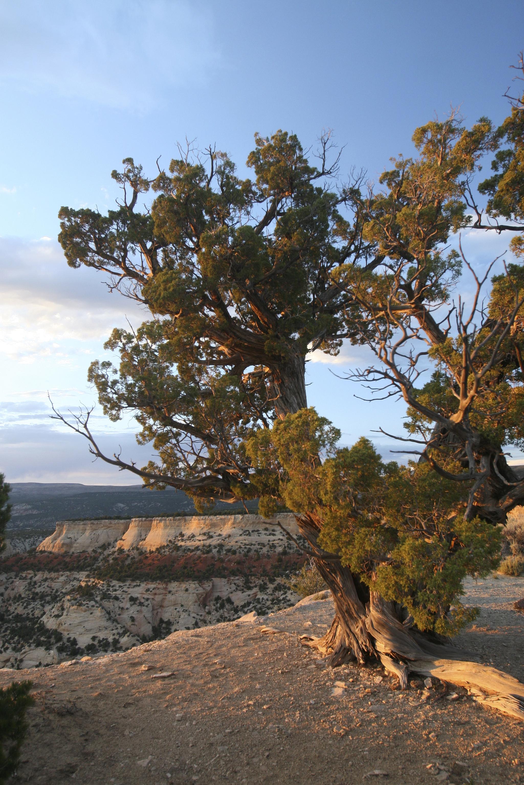 dinosaur national monument photo