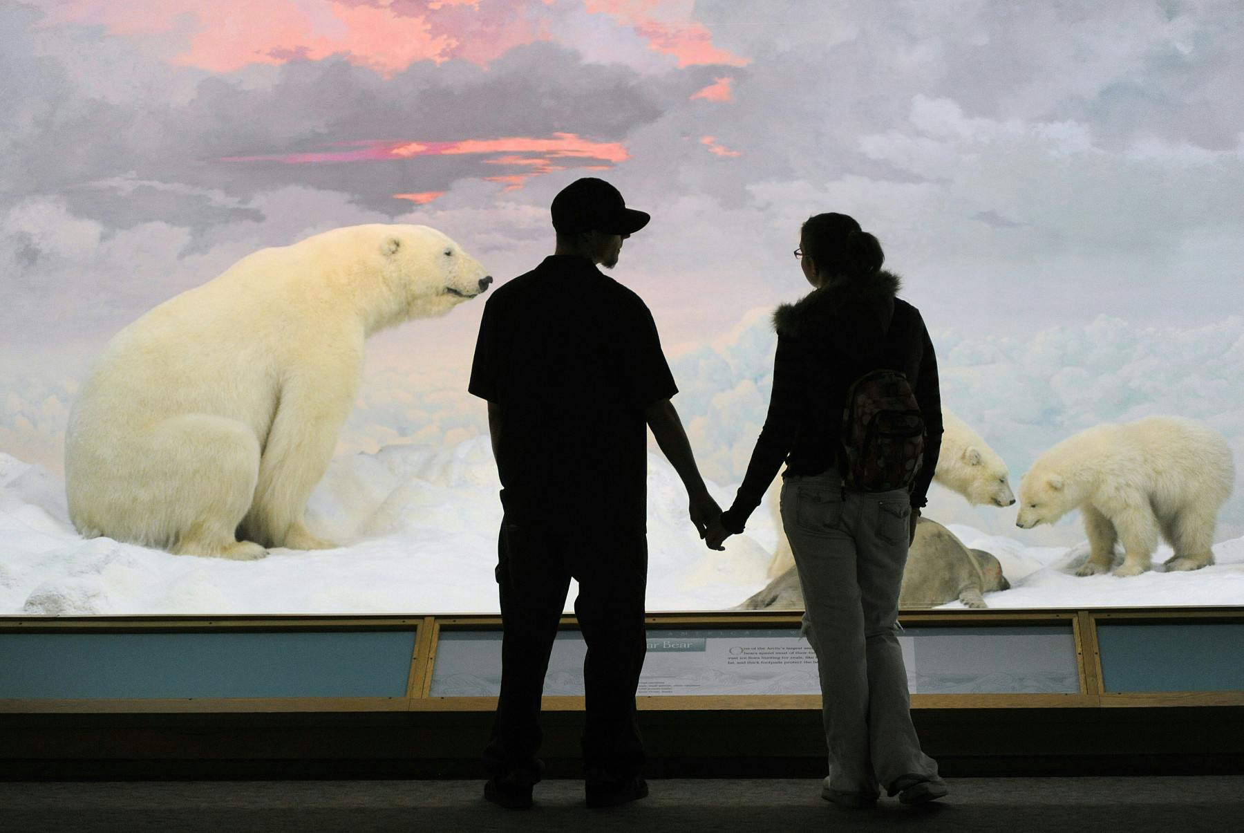 denver museum of nature & science photo 2