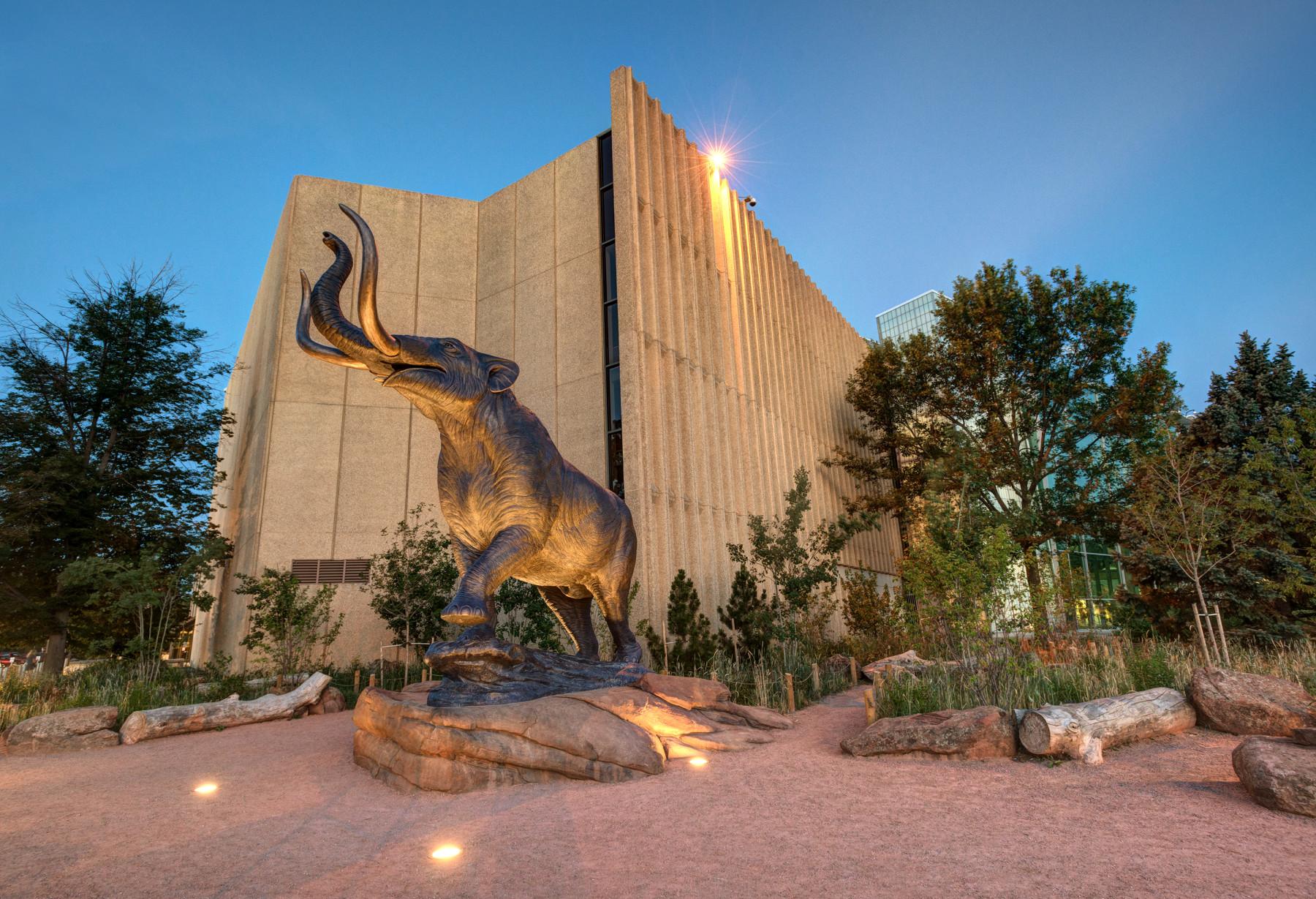 denver museum of nature & science photo